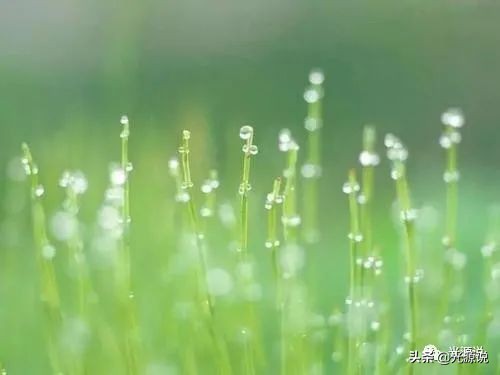 朱自清散文最经典一段,朱自清散文讲了什么