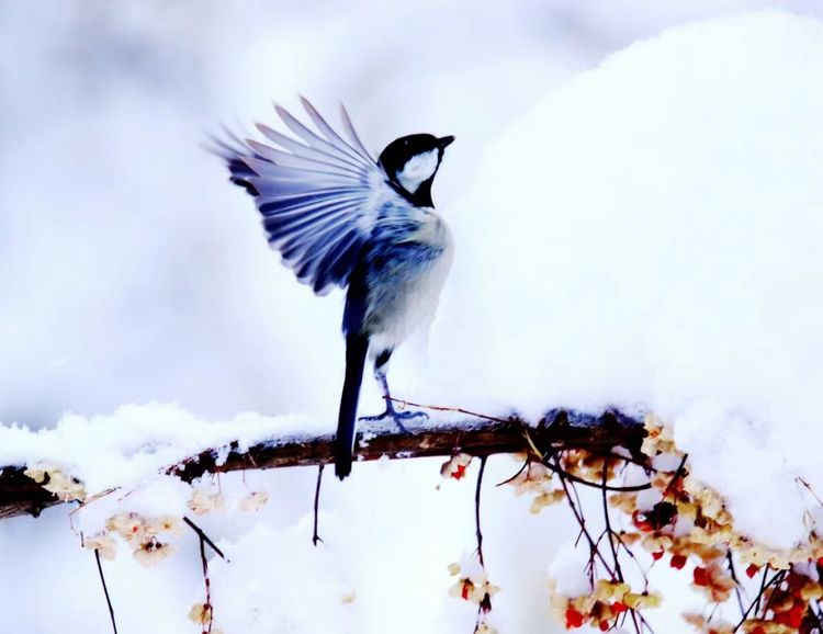 如何在相处中不那么强势咄咄逼人,如何在人际交往中变得强势