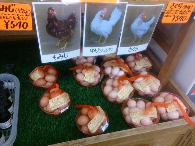 连卖鸡蛋,都要贴出母鸡的照片和名字?日本人的“变态”细节