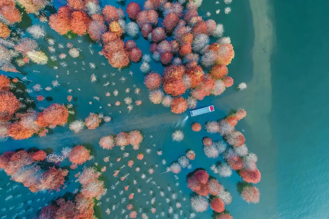 秋天的杭州自驾游,杭州秋冬自驾