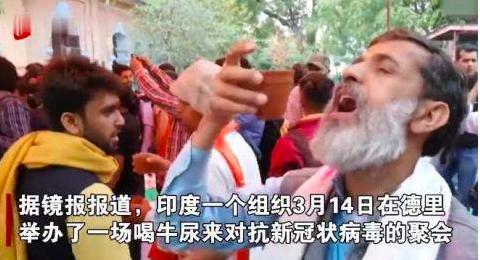 在聚众喝牛尿之后，印度宣布牛粪牛尿疗法进入临床试验阶段