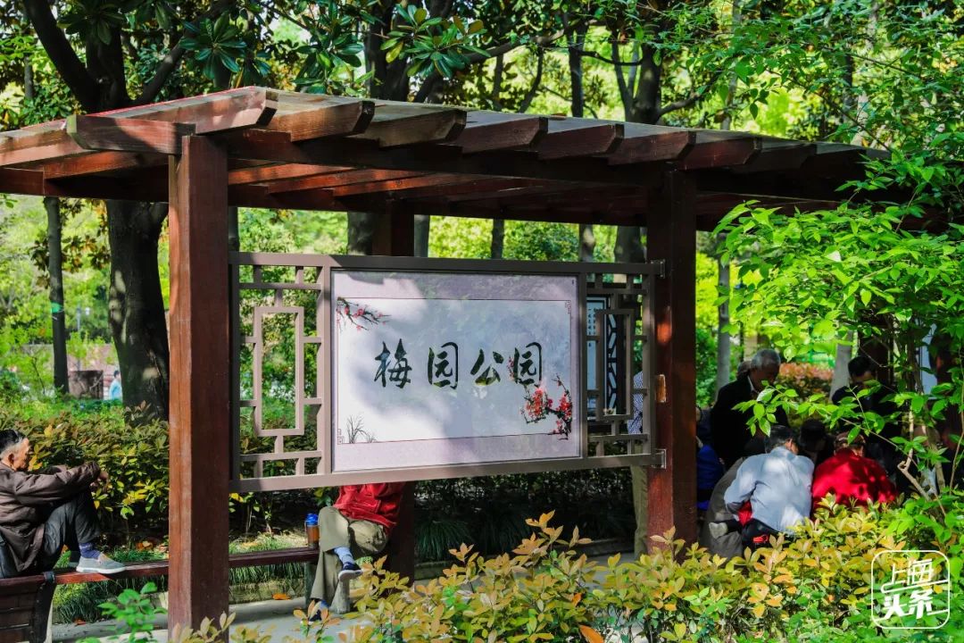 上海宋城免费景点,上海一日游攻略必去景点免费