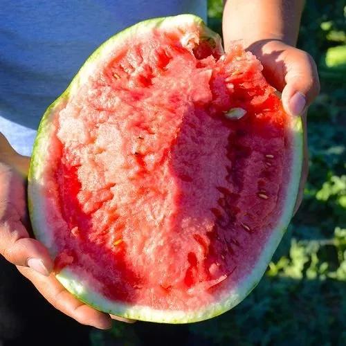 各种水果吃法时间表,7种水果要经常给孩子吃