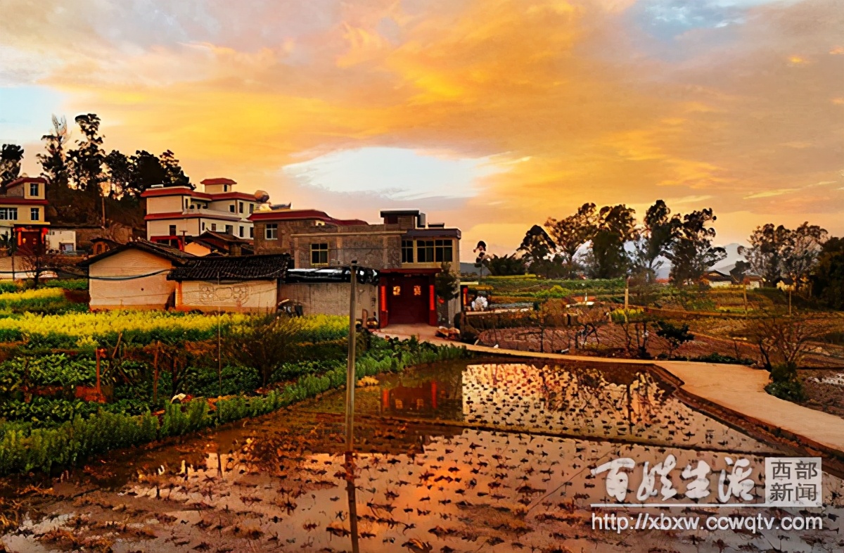 浼氱悊妤犻櫌,浼氱悊鍙ゅ煄妤犻櫌