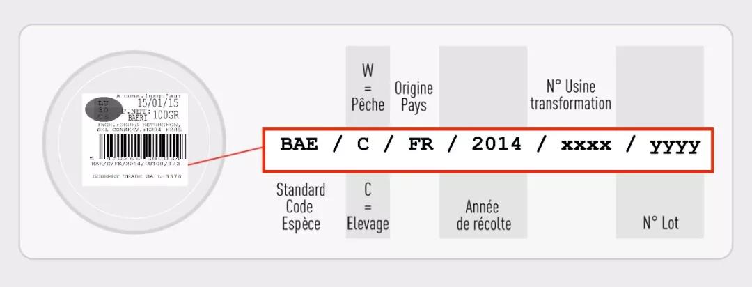 鱼子酱冷知识大全,世界三大珍馐鱼子酱制作方法