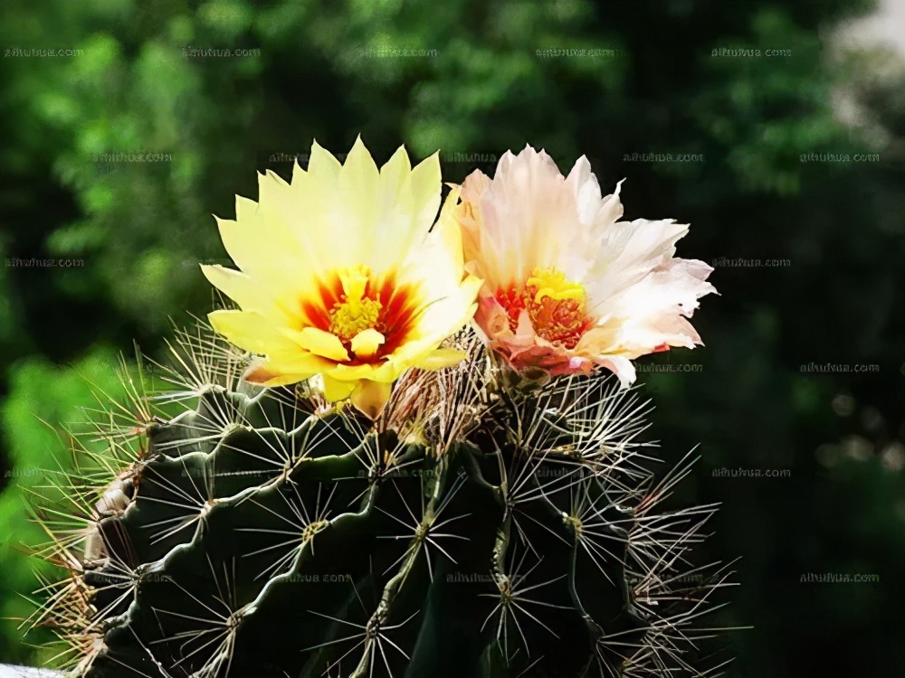 真正聪明的人身上有哪些特征,聪慧女人的特征