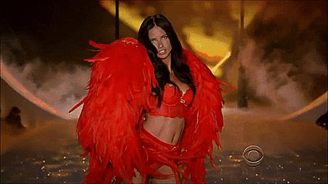 世界超模维密走秀图集,维密超模刘雯图集