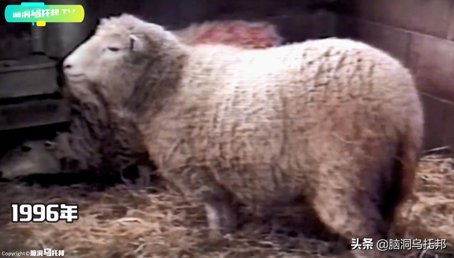 埃及木乃伊的真正用途,神秘木乃伊复活之谜