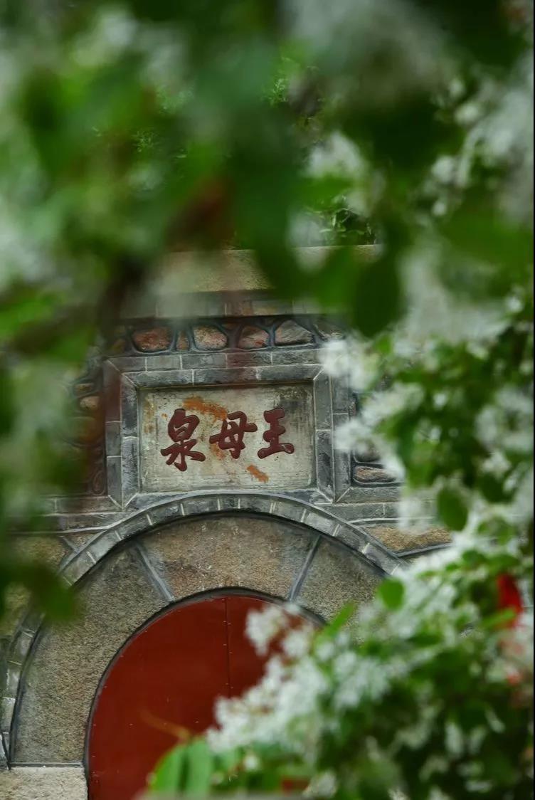 “八仙”之一、“中华字帖”鼻祖……他们竟都是“泰山诗人”丨冬游齐鲁