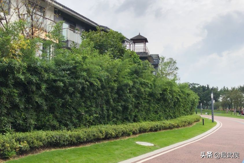 美了!宜居水岸金江明珠段秋日美景来袭