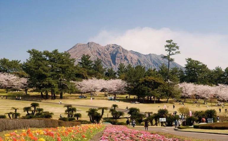 比熊猫小的熊有哪些,比大熊猫还濒危的小熊猫