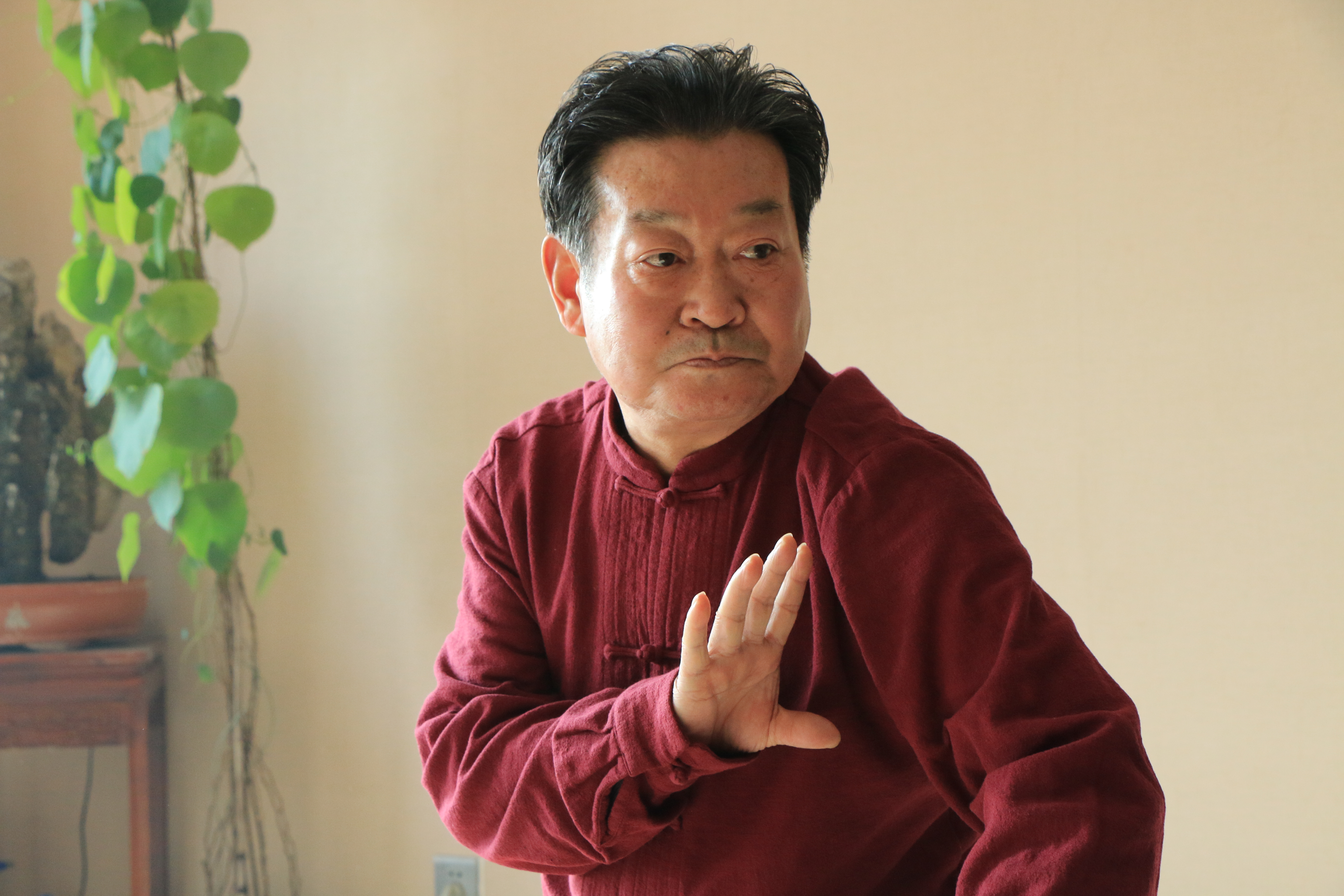 传统武术打不过格斗，飞檐走壁只是电视里唬人的？学武术的人越来越少，20年后，恐怕就没有人练了！