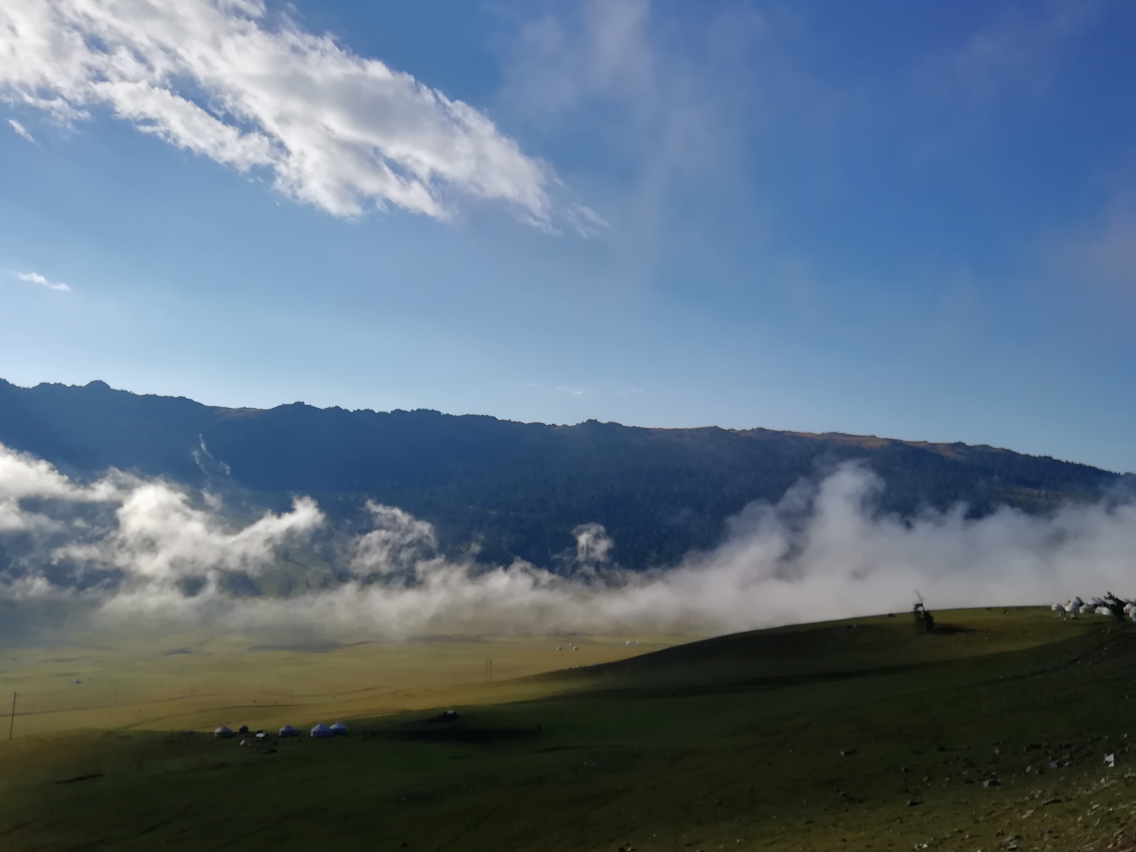带狗自驾新疆注意事项,想带狗狗去新疆