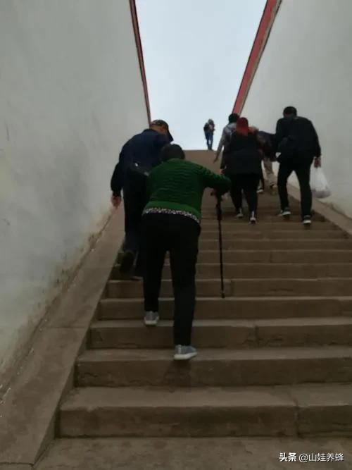 二个女儿出嫁父母有什么政策,两个女儿出嫁后老两口生活怎么办