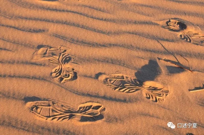 宁夏的战略地位,宁夏军事重镇简介