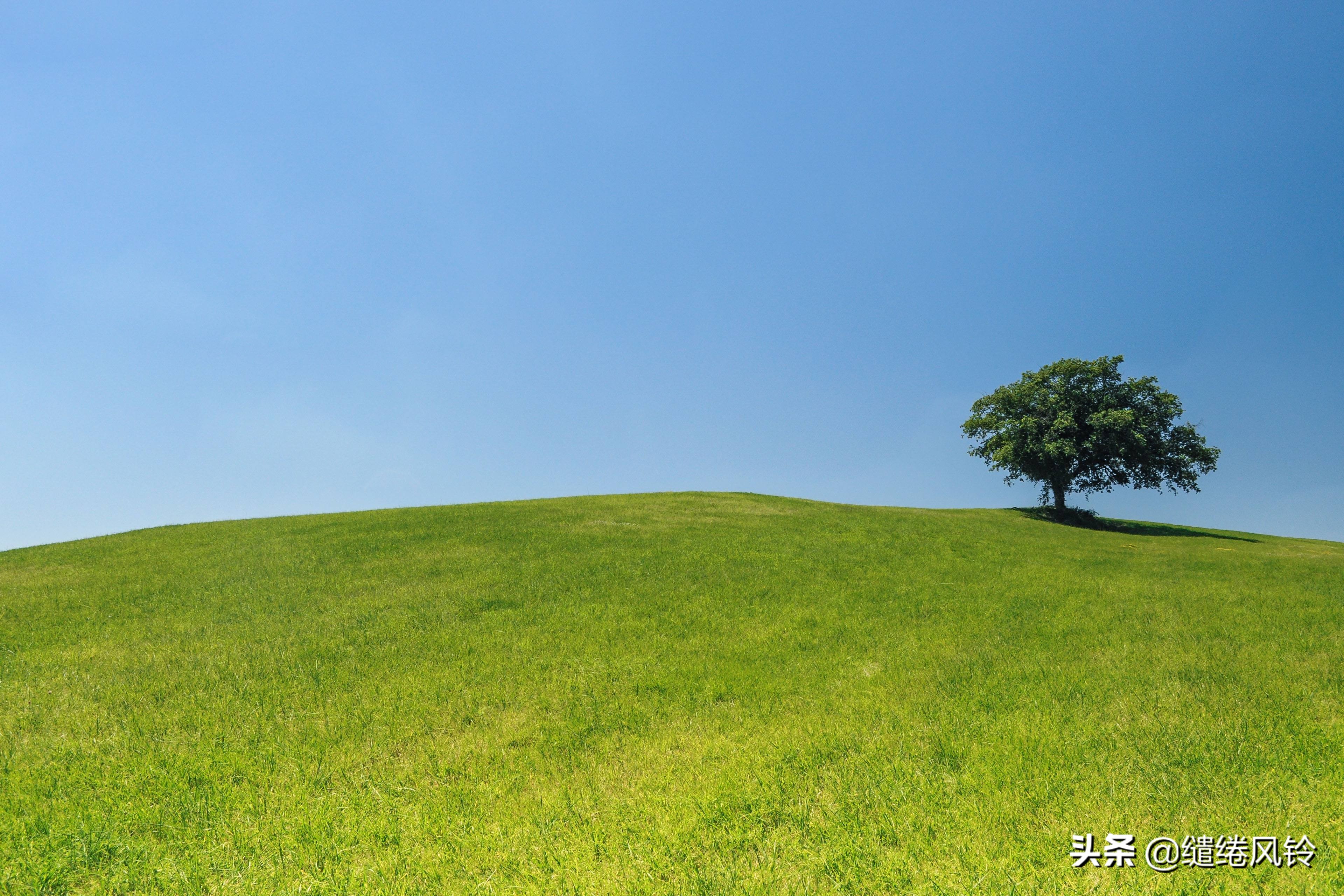 孤独的感觉是什么,感觉很孤独很压抑