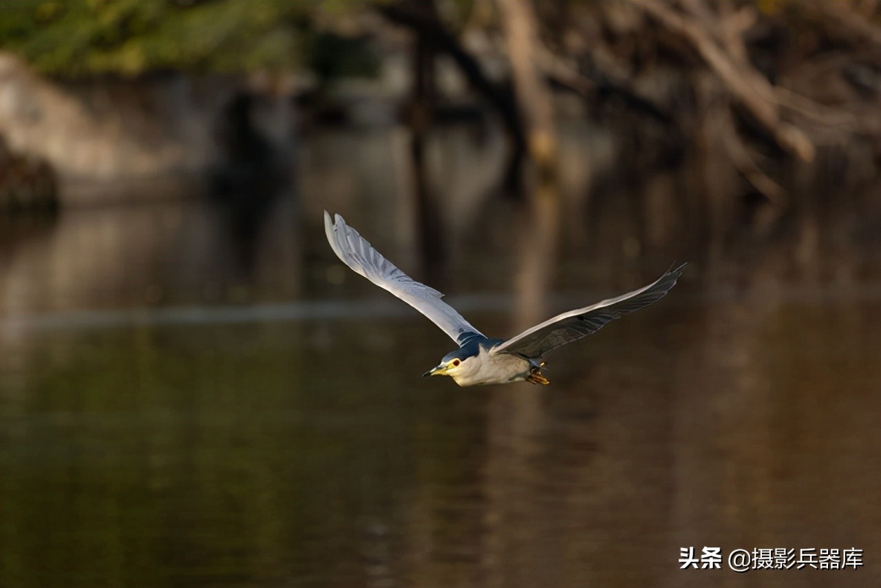 佳能eosr跟rp哪个好,佳能eosrp深度测评