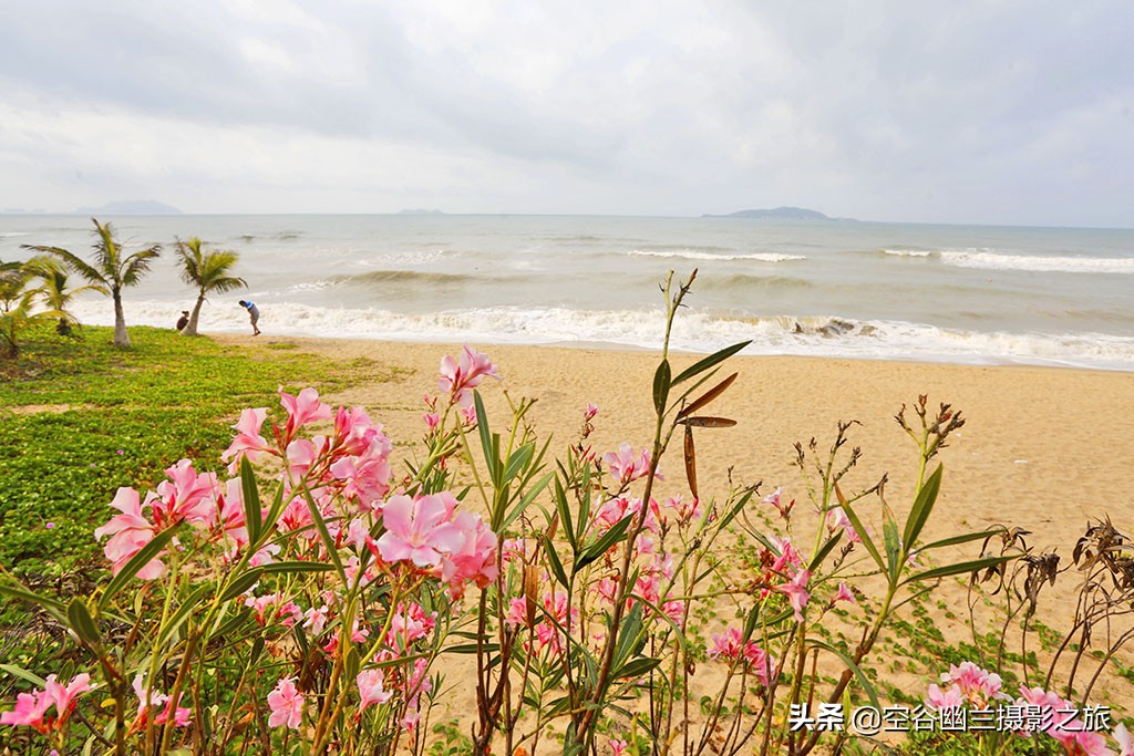 五星以上三亚最好的酒店排名第一,三亚五星酒店性价比最高的