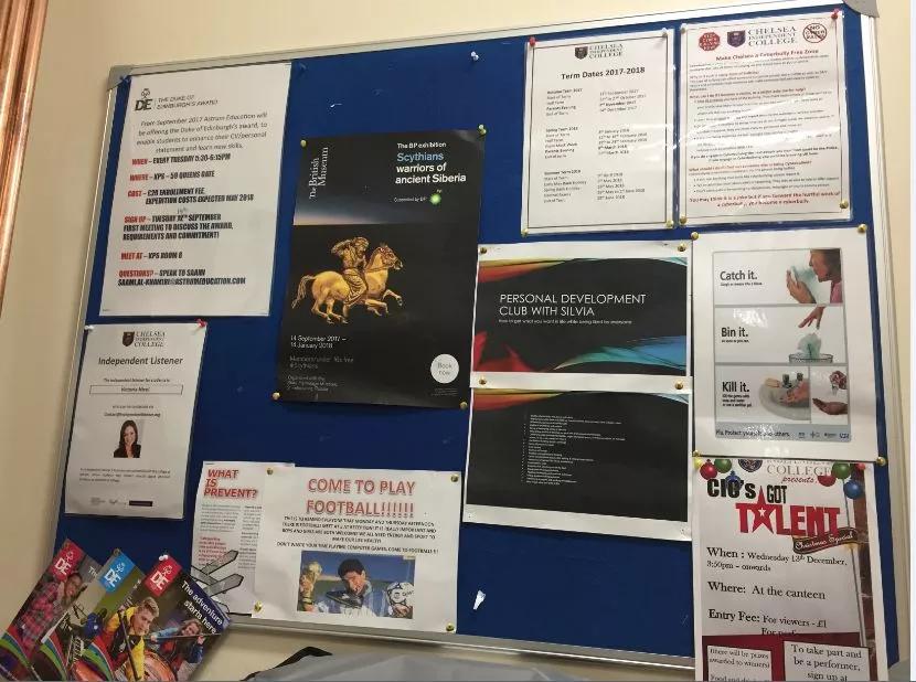 常春藤名校毕业生,70%的学生进入高职