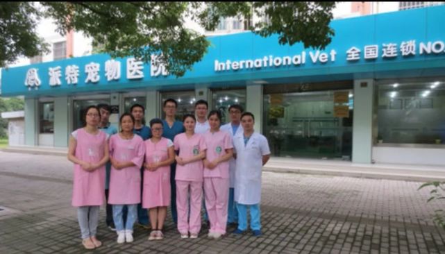 走近瑞派宠医|胡浩院长：好医生要慢着来