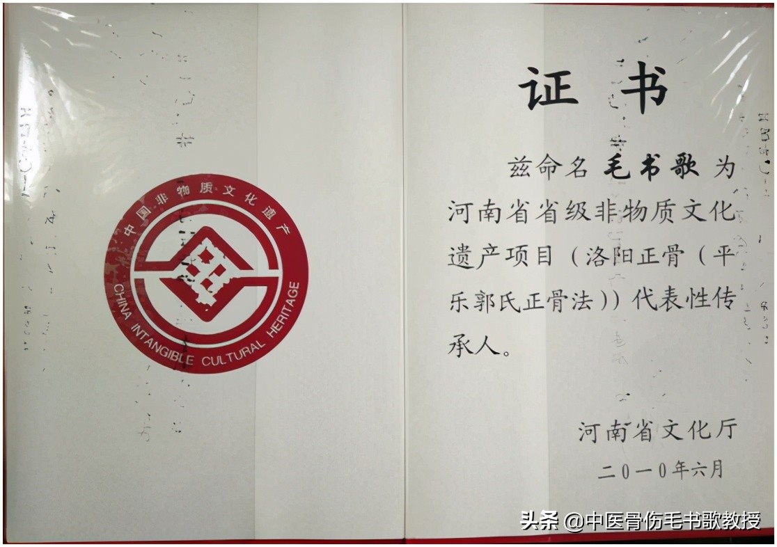 洛阳正骨非遗传承,非物质文化遗产中医传统正骨技艺