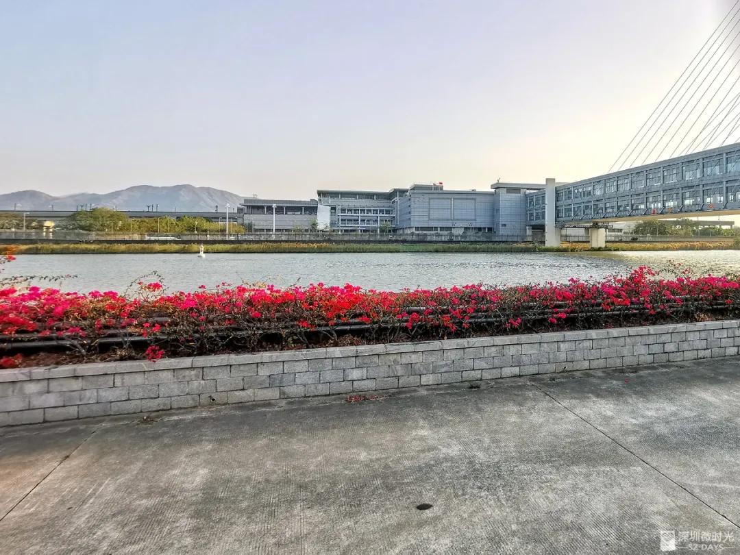 香港不繁华,香港人对香港的印象