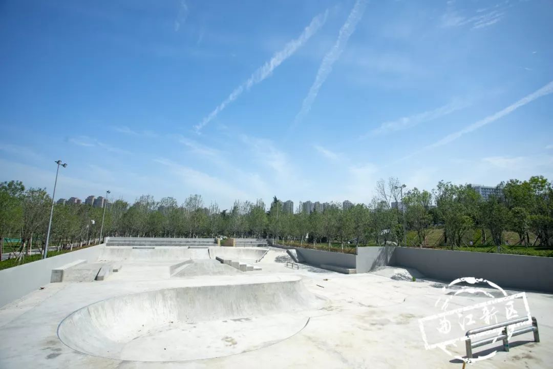 这个周日，新青年就要来曲*青江**年森林公园