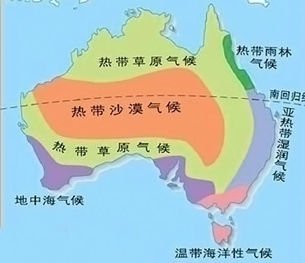 火的操控者——桉树，真正诠释了野火烧不尽，春风吹又生