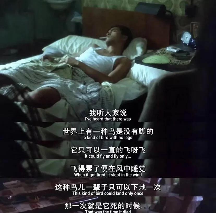 iphone整页截图没有了,iphone没了截图怎么弄回来