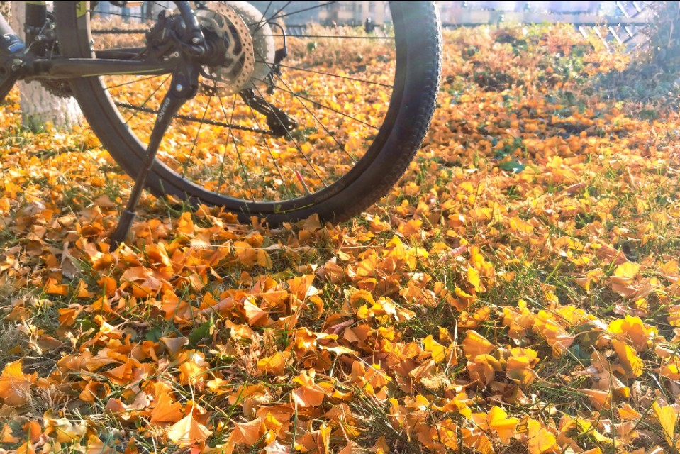 入门公路车推荐禧玛诺套件,禧玛诺入门公路买什么套件