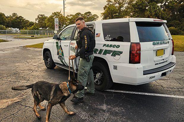 偶像养成综艺,偶像养成全集