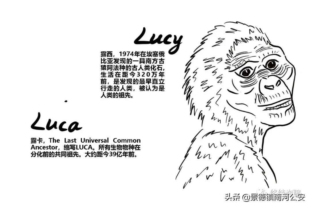 科普病毒真实情况,科学家研究病毒科普小知识