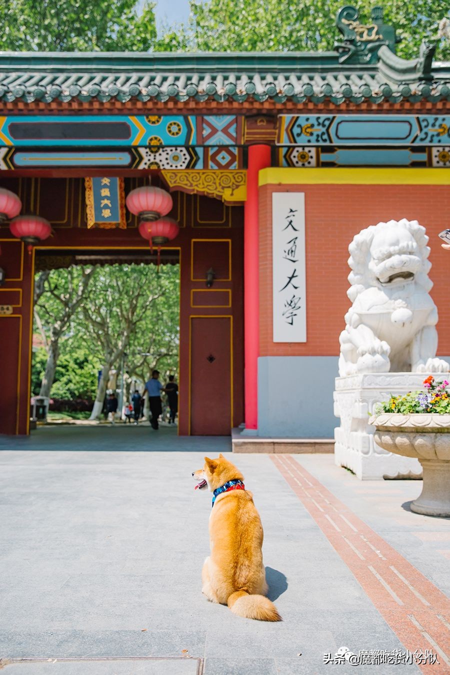 高考择校tips,高考择校指导985211