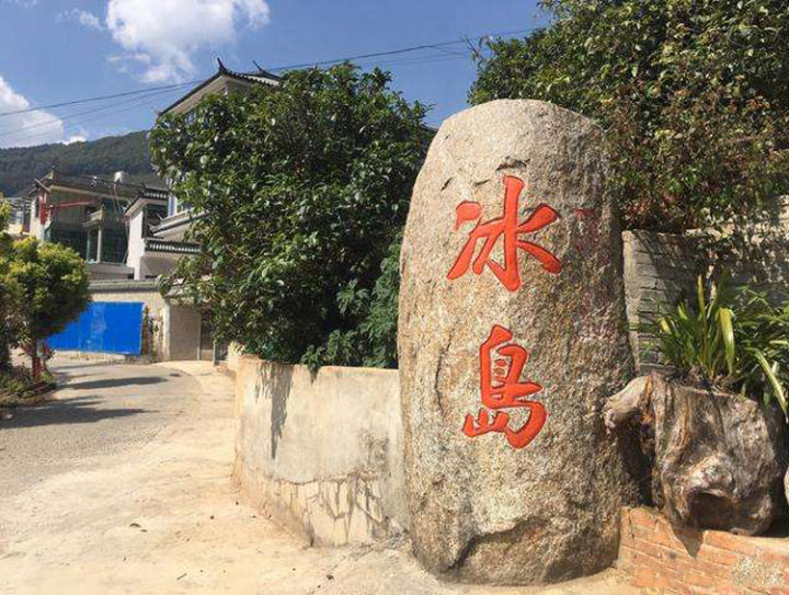 用一句话描述各山头普洱茶的特点,普洱茶六大名山头茶的特点介绍