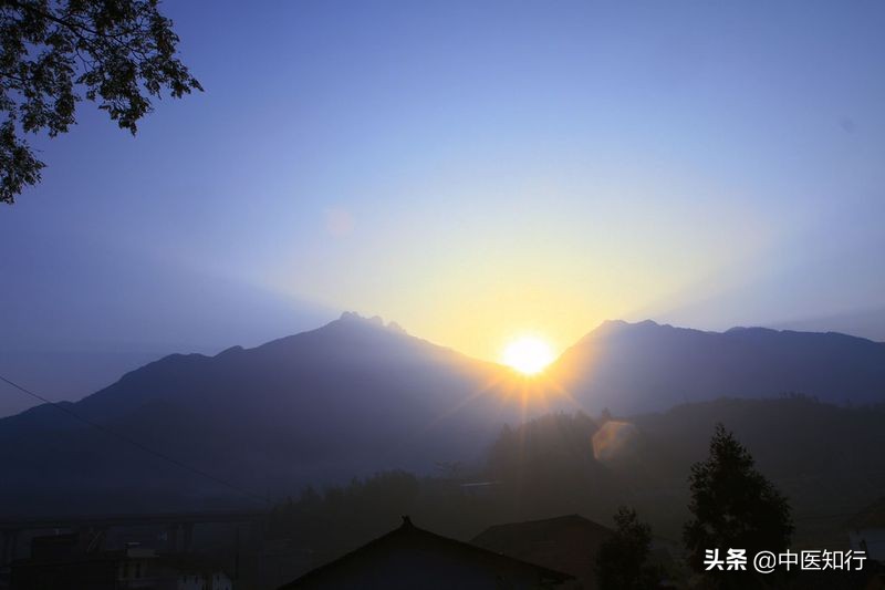 孔伯华医案全集,孔伯华对中医的评价