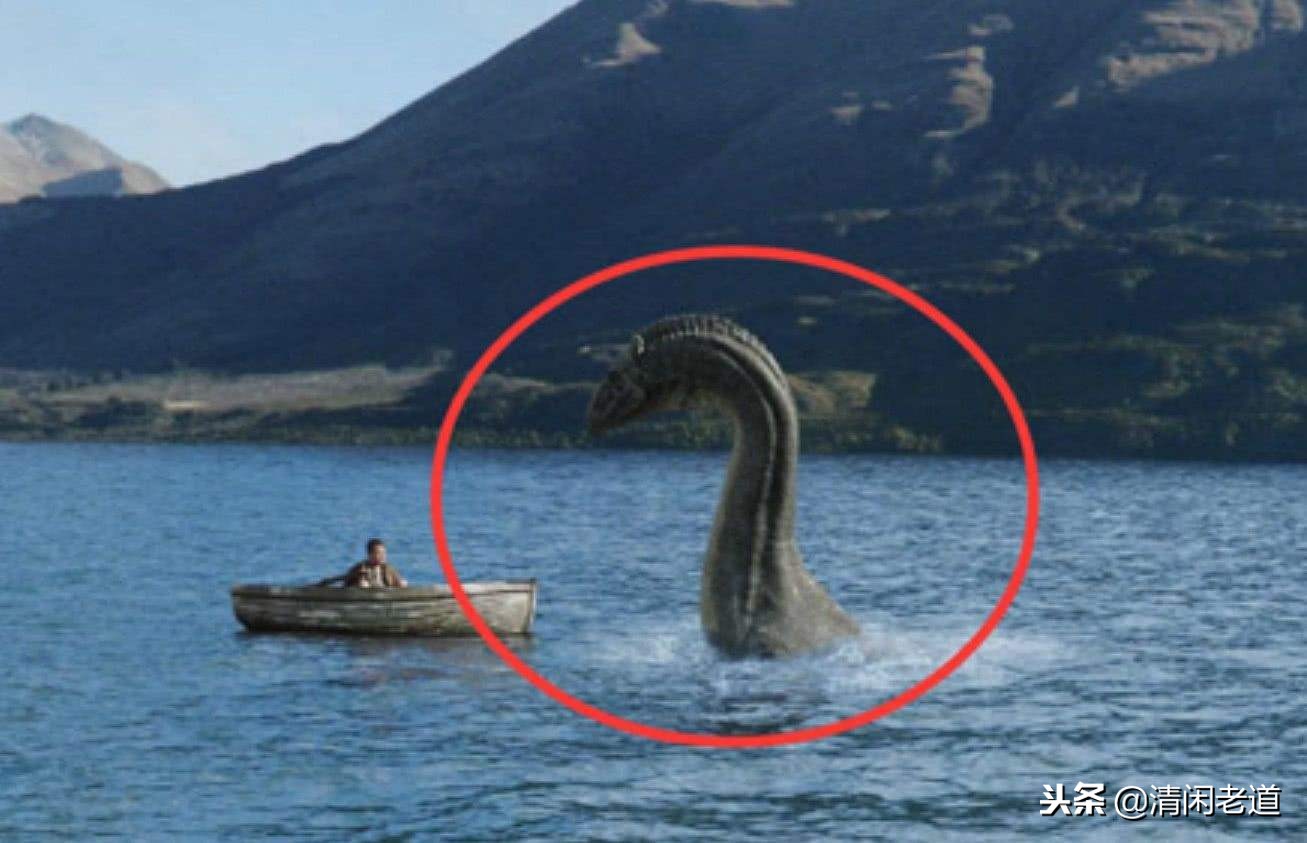 山海经里面记载的八种龙,山海经中有龙的记载在哪