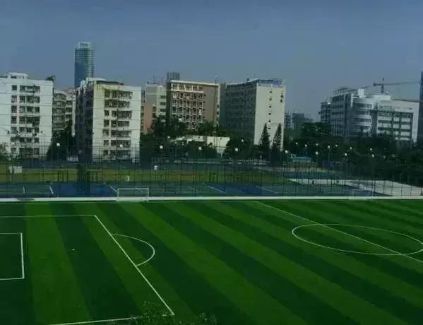 福田花卉世界最新规划,福田花卉世界新址