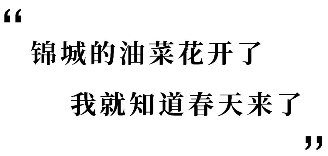 閿﹀煄鐨囧璐垫棌瀛﹂櫌,鎴愰兘閿﹀煄璐垫棌瀛﹂櫌
