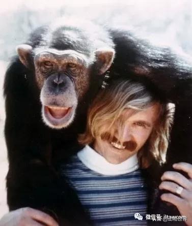 世界各国的著名动物,美国最著名的动物