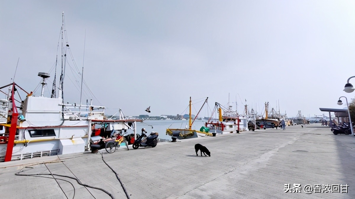 乌鱼子品尝,台湾哪里有乌鱼子吃