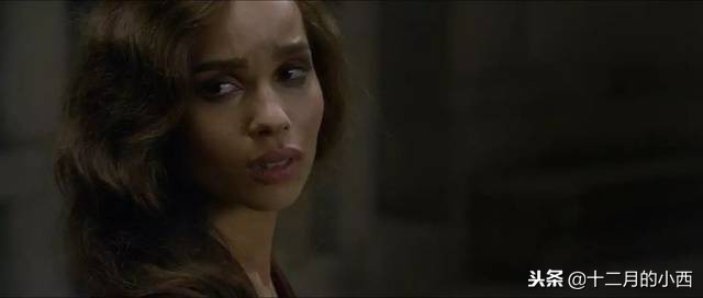 深度解读神奇动物在哪里,神奇动物和哈利波特有什么关联