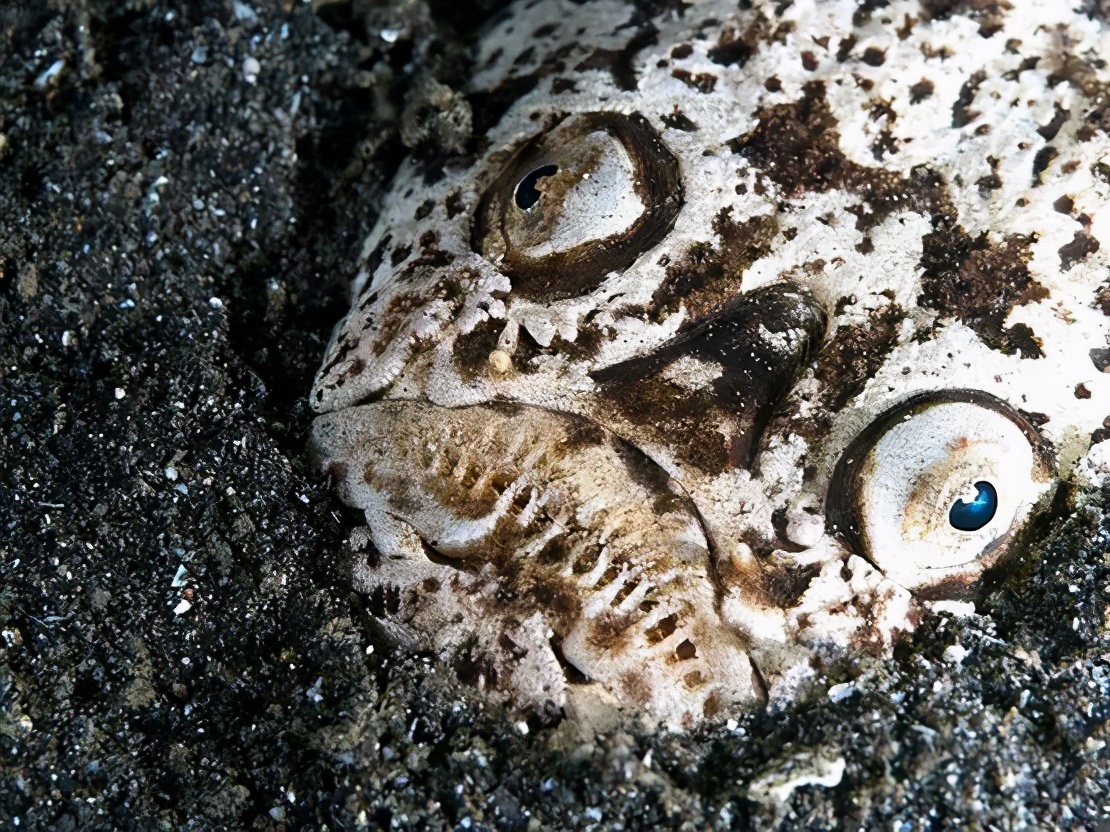 电游三巨头,雷河三巨头