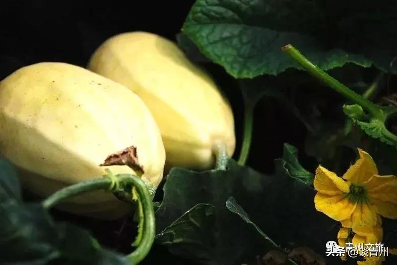 青州市区景区地图,青州全域旅游