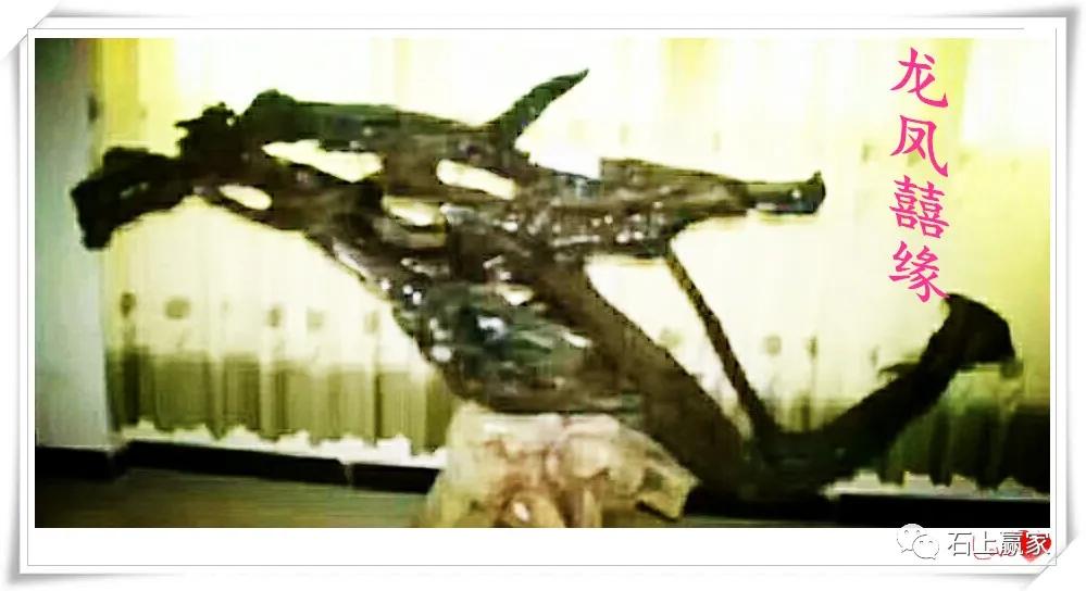 金丝楠乌木根艺组合图片,金丝楠乌木根艺家具