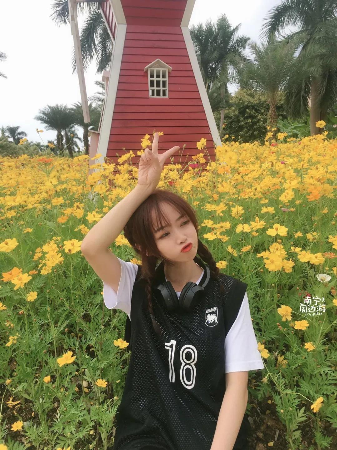 南宁花海公园在哪里,南宁嘉和城附近花海