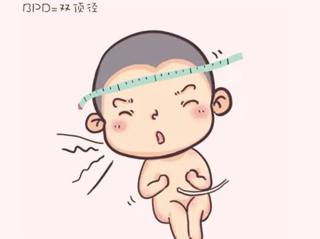 足月双顶径一般多少算正常,足月宝宝一般双顶径多少正常