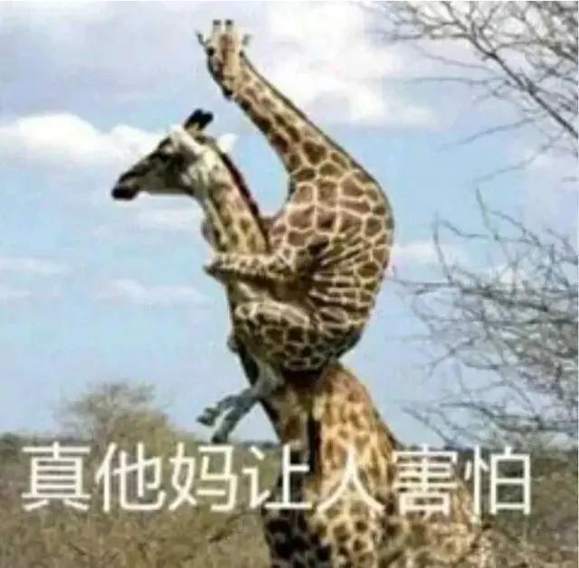 沙雕搞笑段子笑到肚子疼,小品搞笑段子大全笑到肚子疼