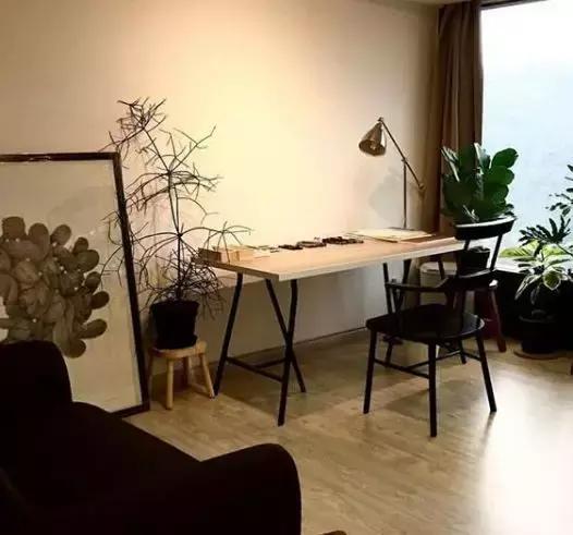 她用2元针管笔作画便惊艳了世界,他用粉笔画了一只猫