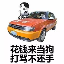 2019拿到驾驶证,2019拿到了驾照