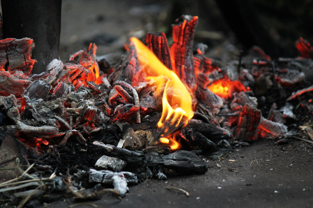 ps如何换花朵教程图解,ps怎么画枯萎的玫瑰